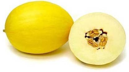 CYBEXIS PUAS-77 - Melon Yellow Canary Sharadha - (450 Seeds) Seed