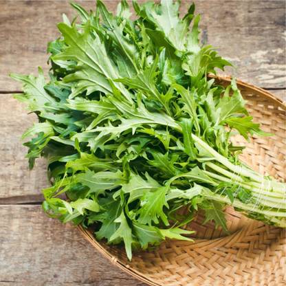 VibeX VXI-19 - Mizuna ( Japanese Mustard Greens) - (750 Seeds) Seed