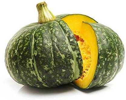 VibeX XL-97 - Organic Hybrid Desi Pumpkin - (100 Seeds) Seed
