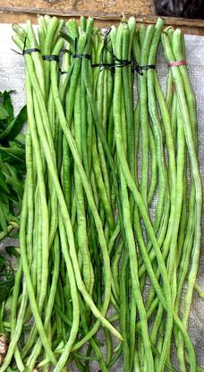 CHILLATAI Hybrid Variety Yard Variety Cowpea / Long Alasande Kayi Seed