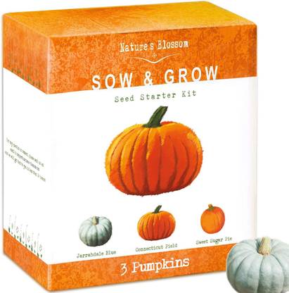 VibeX ® VMR-410 3 Types of Pumpkin Seeds Seed