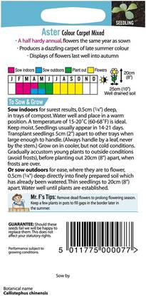 CYBEXIS Aster Colour Carpet Mixed Seed