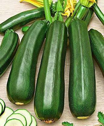 VibeX ® XLR-604 Summer squash - Chappan Kaddu Seeds Seed