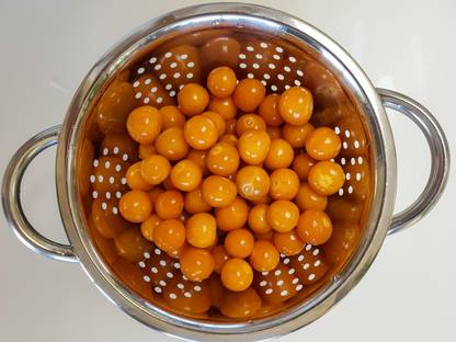 VERY ES Cape Gooseberry (रसभरी) Seeds Seed