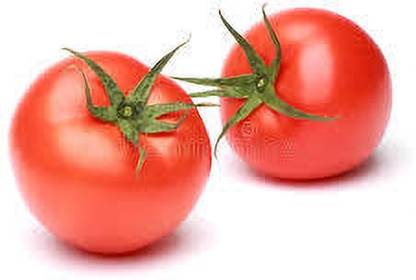 XOLDAA hybrid f1 quality tomato seeds Seed