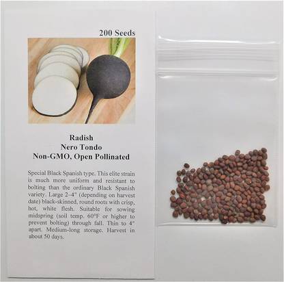 CYBEXIS TLX-75 - Radish Nero Tondo(Black) - (250 Seeds) Seed