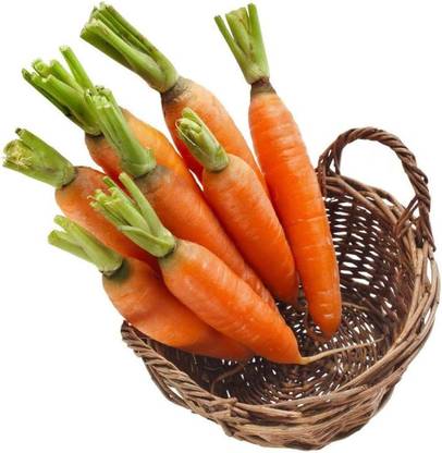 KNESSiN Carrot Orange Seed