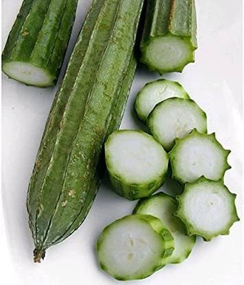 CYBEXIS VXI-19 - Acutangula Angled Ridge Gourd Turai - (300 Seeds) Seed