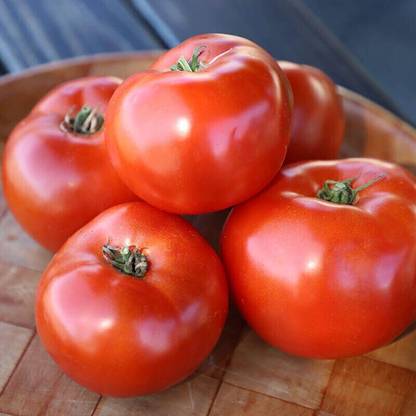 Avysa Tomato Roadster Seed