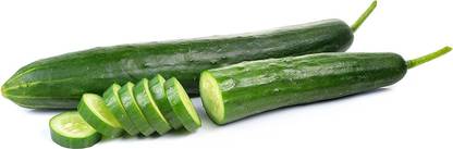VibeX ® XLR-618 Crisp and Sweet “Beit Alpha” Cucumber Seeds Seed