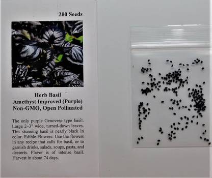 VibeX ® VMR-48 Purple Opal Basil Seed