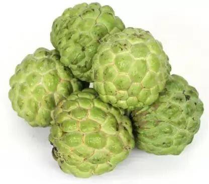 MAA Custard Apple, sitafal, sitaphal Seed