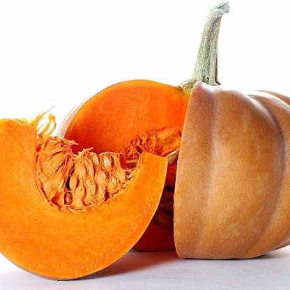 PMA pumking seed Seed