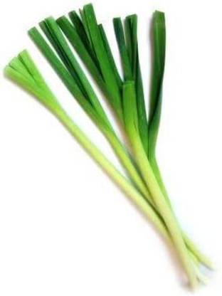 CYBEXIS VVI-72 - Garlic Chives (Allium tuberosum) - (750 Seeds) Seed