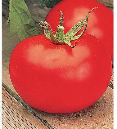 PEARL Arkansas-Traveler-Tomato Seed