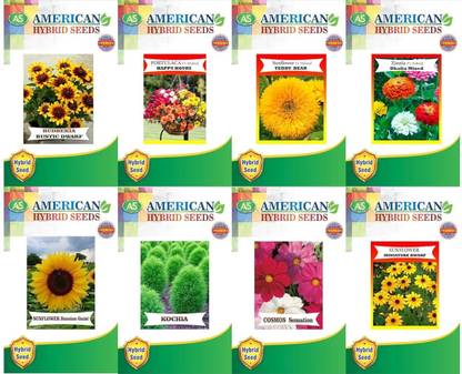 HYBRID Summer Flower Seeds Collection,8 Varieties -Rudbeckia,Portulaca,Teddy Bear etc Seed