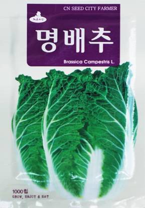 WILLVINE MAH -II Cabbage Seeds, Korean Leaf Vegetable [5g] Seed