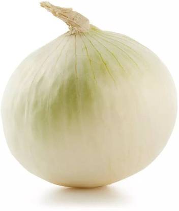 Bula Plant House Organic White Onion Seed