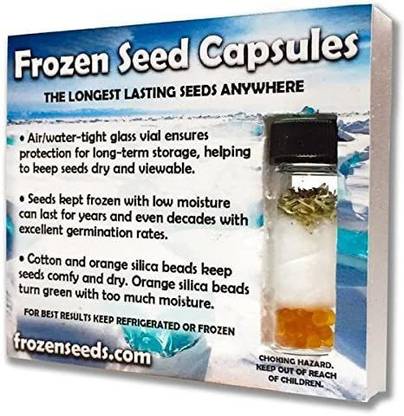 VibeX ® XXL-24 Thai Basil Seeds Seed