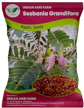 IAgriFarm Sesbania / Agathi / Gaach Munga / August Tree - 1 Kg - for Cultivation Seed