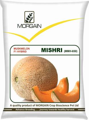 Morgain Muskmelon Hybrid Seeds, Mishri (MMH-650),25gm pkg for Home Gardening Seed