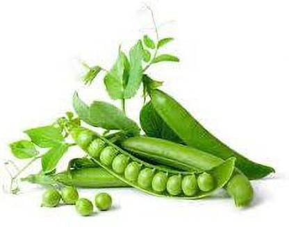 KANAYA Peas Seeds( Matar Ke Beej) Seed