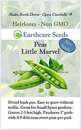 VibeX ® VXI-63 Sweet Dwarf Bush Pea Seeds Seed