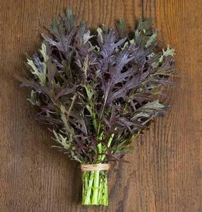 VibeX PAU-79 - Mustard Greens Ruby Streaks(Maroon) - (250 Seeds) Seed