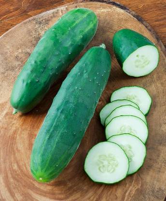CEZIUS Home & Terrace Gardening English Cucumber for Planting Outdoors Home Garden Seed