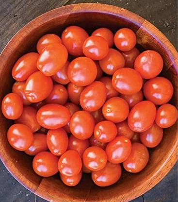 Quentova Napa Grape Tomato 1gm Seeds Seed