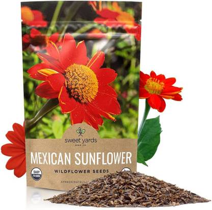CYBEXIS XLR-40 - Mexican Sunflower - (1350 Seeds) Seed