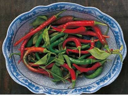 greenfarm NXC- Chilli Seeds/ Mirchi Seeds/Best Quality , 240 X Seeds , GDX46 Seed