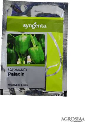 syngenta Capsicum Paladin 10GM Seed