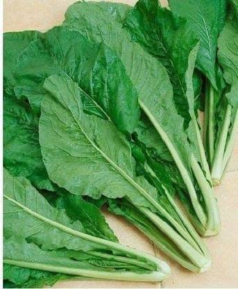 VibeX NDIR-51 - Mustard TENDERGREEN Komatsuna - (250 Seeds) Seed