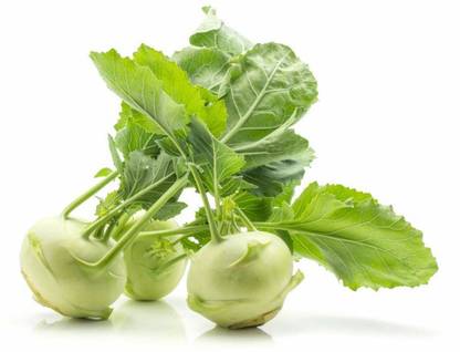 Quentova गांठ गोभी (Ganth Gobhi) Knol Khol-LIV-4B Seed