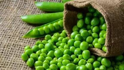 MAA Pea, Green Peas, Matar Seed