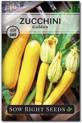 VibeX ATS-84 - Golden Zucchini - (75 Seeds) Seed