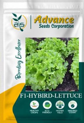 agri max gardens SUMMER SWEETHEART F1 HYBRID CHERRY TOMATO SEEDS & PLANT Seed