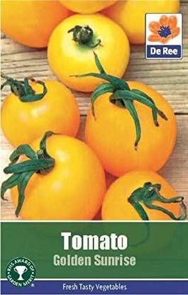 KNESSiN VIII-23 Tomato Golden Sunrise Seed