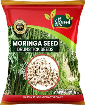 ravel moringa seed Ravel Moringa drumstick seed Pack of 100grm Seed