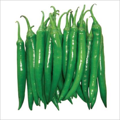 PMB Organic Chilli vasuda Seed