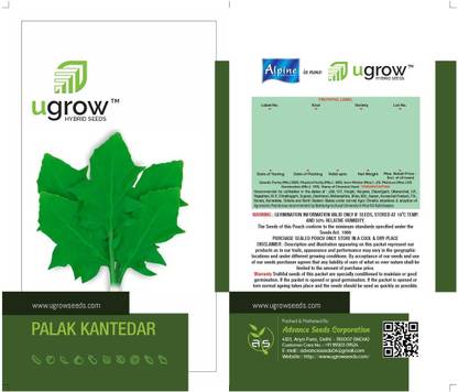 U-GROW INDIA CRINKLED LEAF SPINACH: FRESH AND NUTRITIOUS KANTEDAR PALAK Seed
