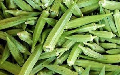 ActrovaX Organic F1 Hybrid Okra, Clemson Spineless[16000 Seeds] Seed
