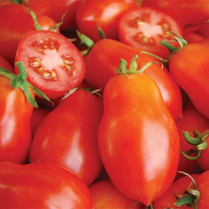 Mozette Organic Roma tomato Seed