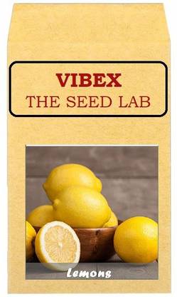 CYBEXIS Heirloom Lemons Hybrid Seeds-50 Seeds Seed