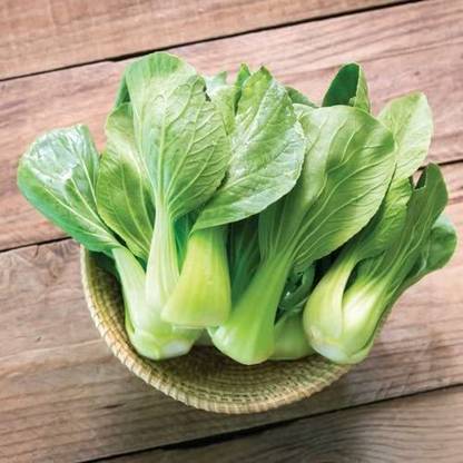 ENINE Hybrid Vegetable Seeds for Home Gardening Pak choi 50 Seeds FF7 Seed