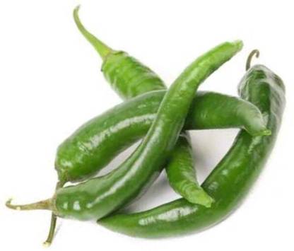 greenfarm NVX- Chilli Seeds / Mirchi Seeds , Best Quality , 280 X Seeds , SAS69 Seed