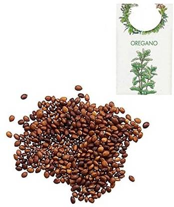 KNESSiN Oregano Seed