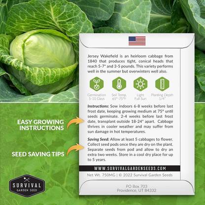 WILLVINE GOI -IX Cone-Shaped Jersey Wakefield Green Cabbage [2.5g] Seed