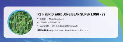 VibeX F1 HYBRID YARDLONG BEAN SUPER LONG(250 Seeds) Seed